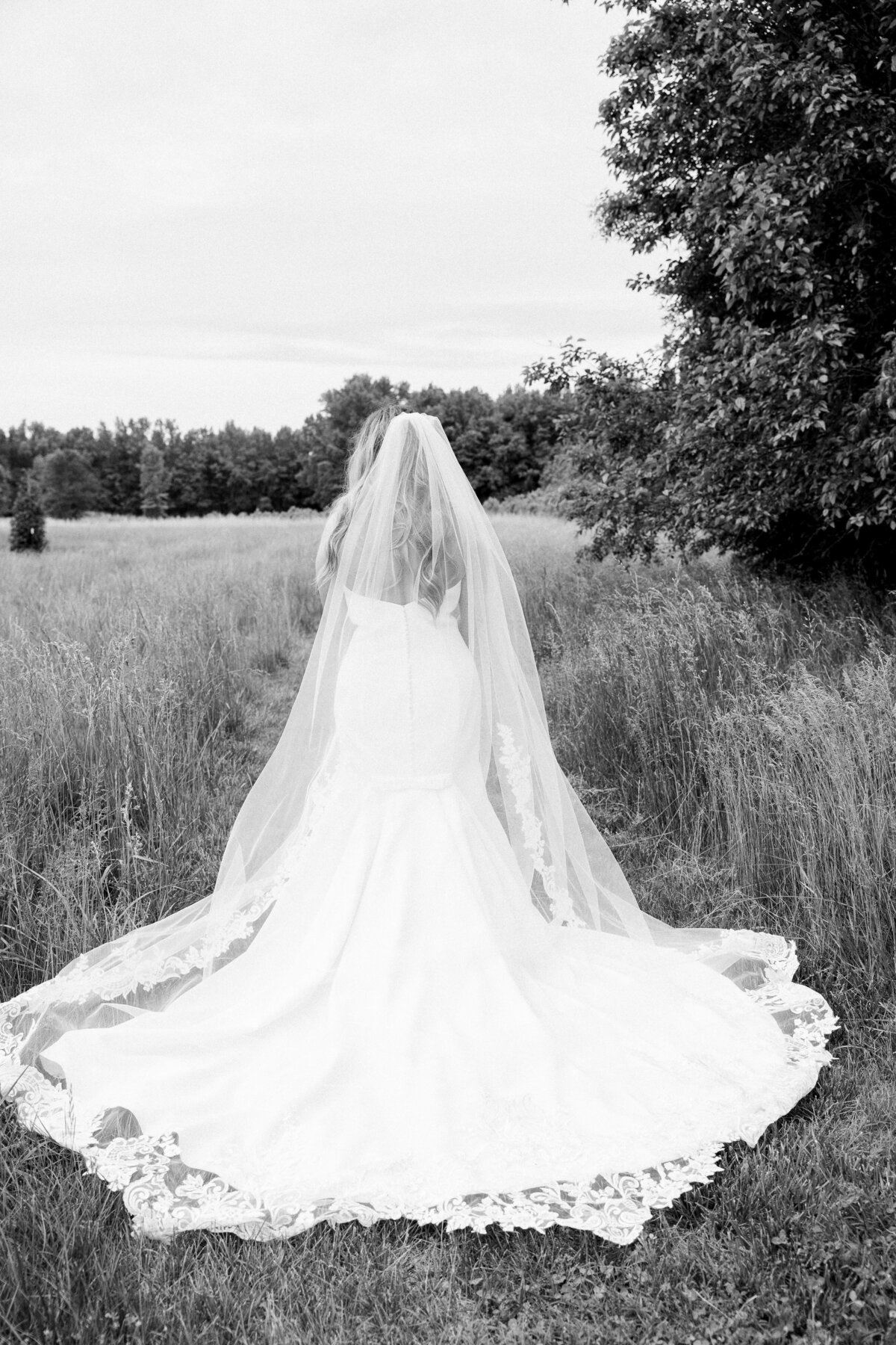 d'antoniobrideandgroom-aep-4534