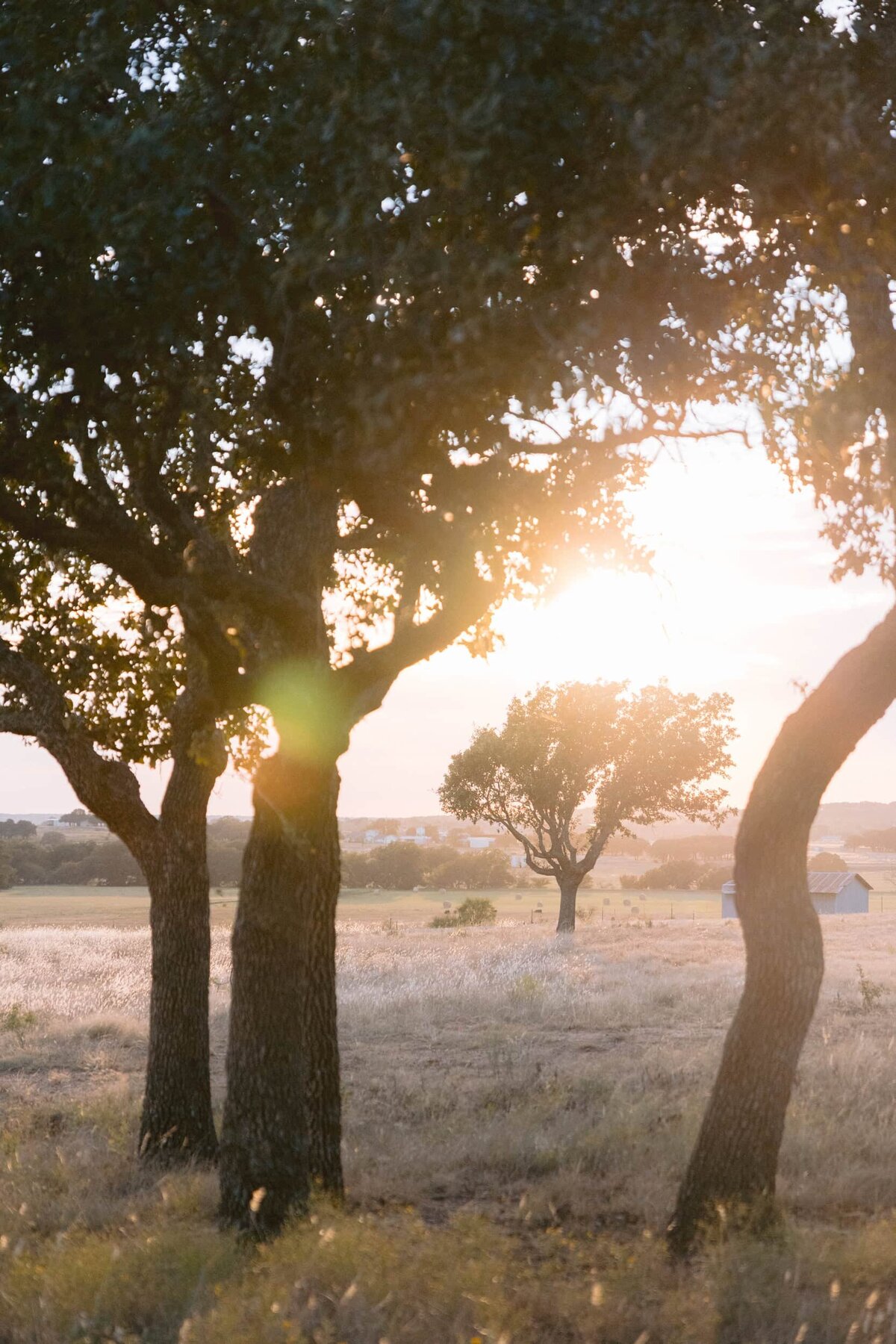 Houston Best Destination Wedding Photographers-180