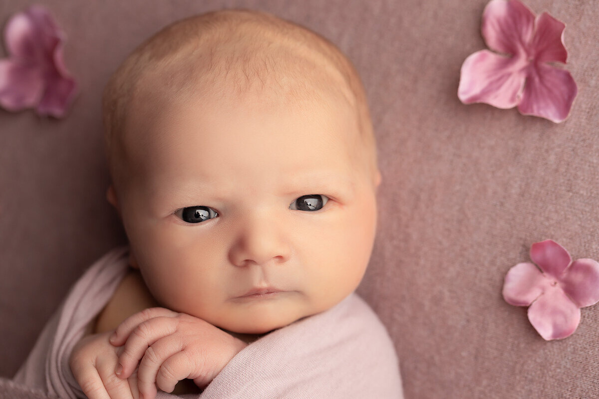 Newborn baby wrapped in mauve fabric with flower accents, staring wide-eyed at the camera for a beautiful baby photographer session featuring natural newborn pictures.