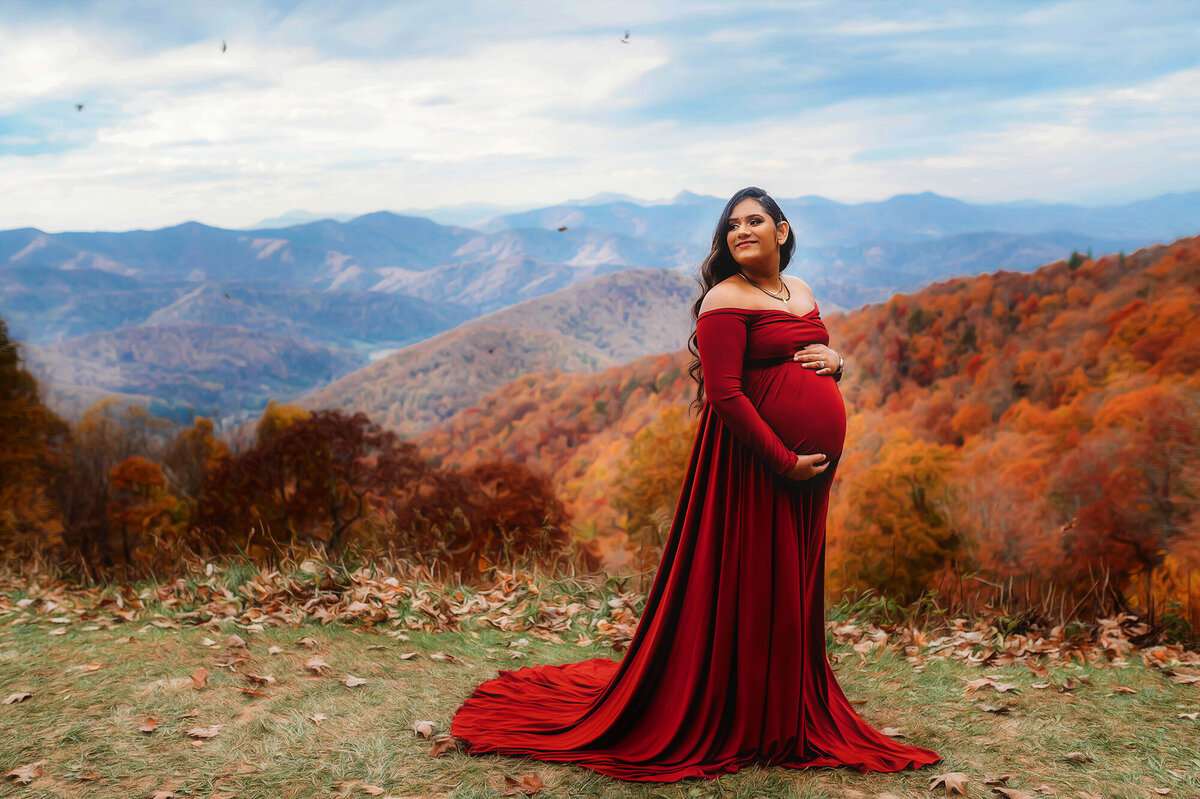 Expectant mother poses for Maternity Portraits on the Blue Ridge Parkway in Asheville, NC.