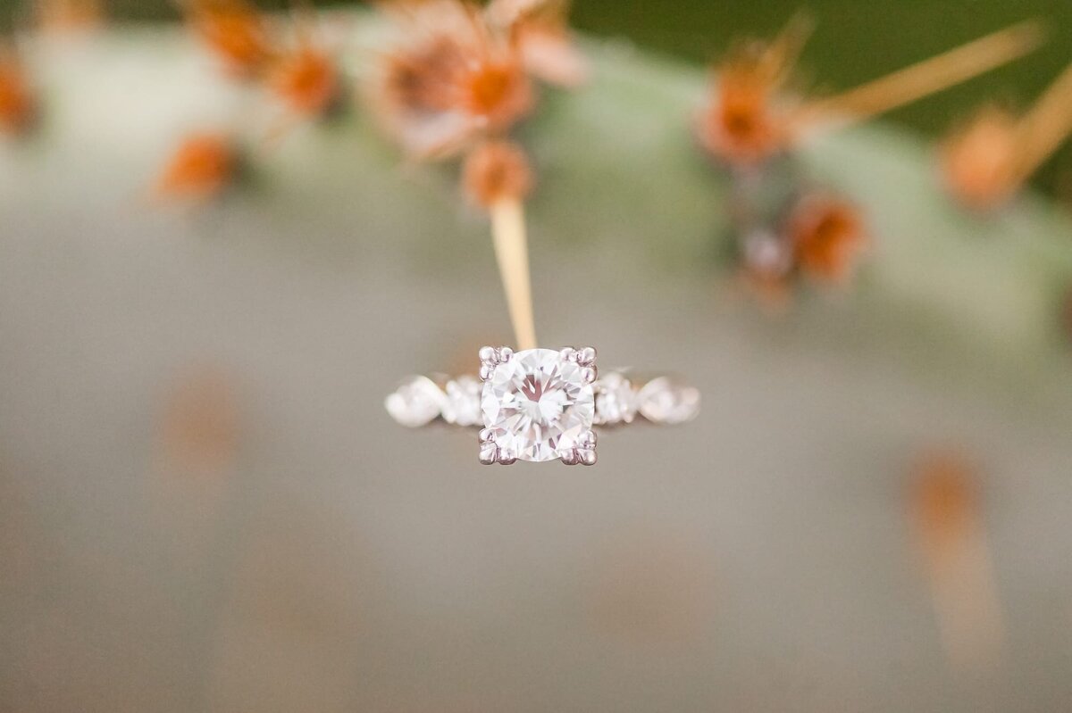 engagement ring on cacti photo by phoenix wedding photographer