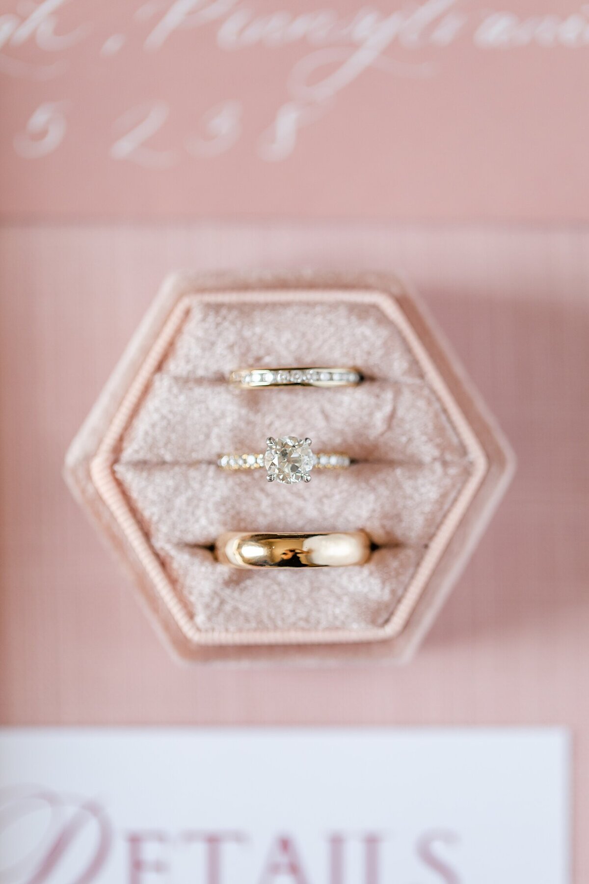 Pittburgh-Wedding-Hartwood-Acres-Mansion_0005
