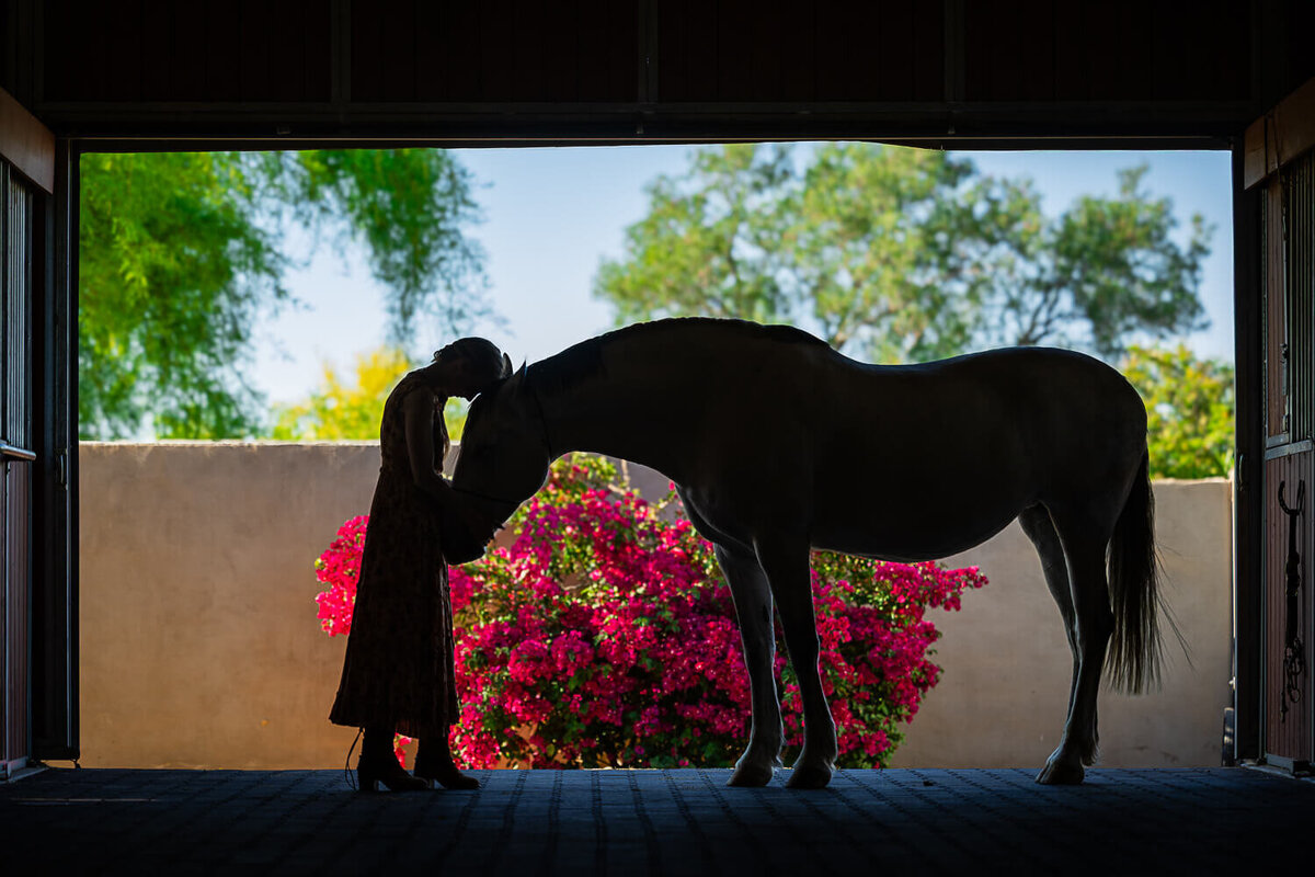 El-Paso-Texas-Horse-Photographer-087