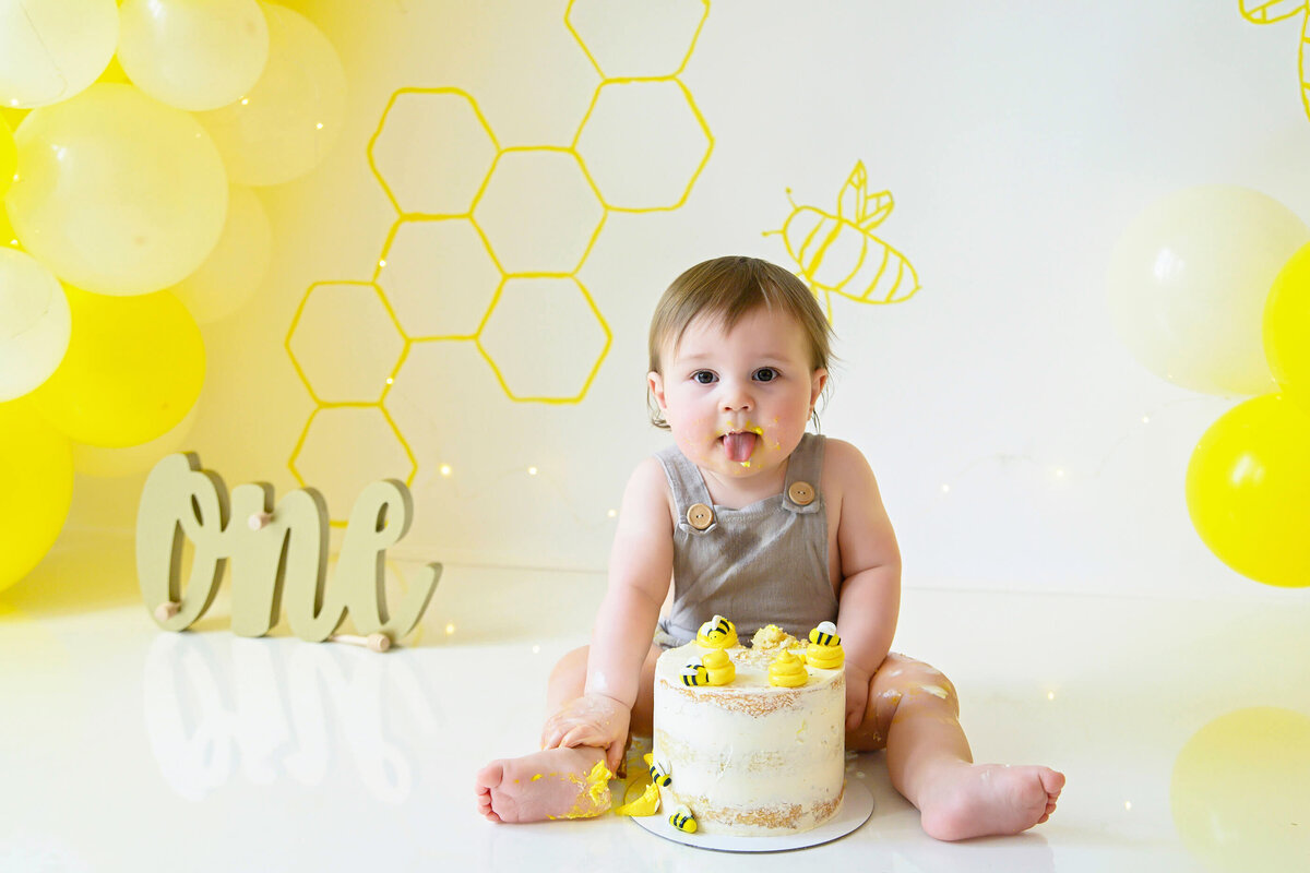 Fun to BEE one cake smash photography session in Burlington, Ontario