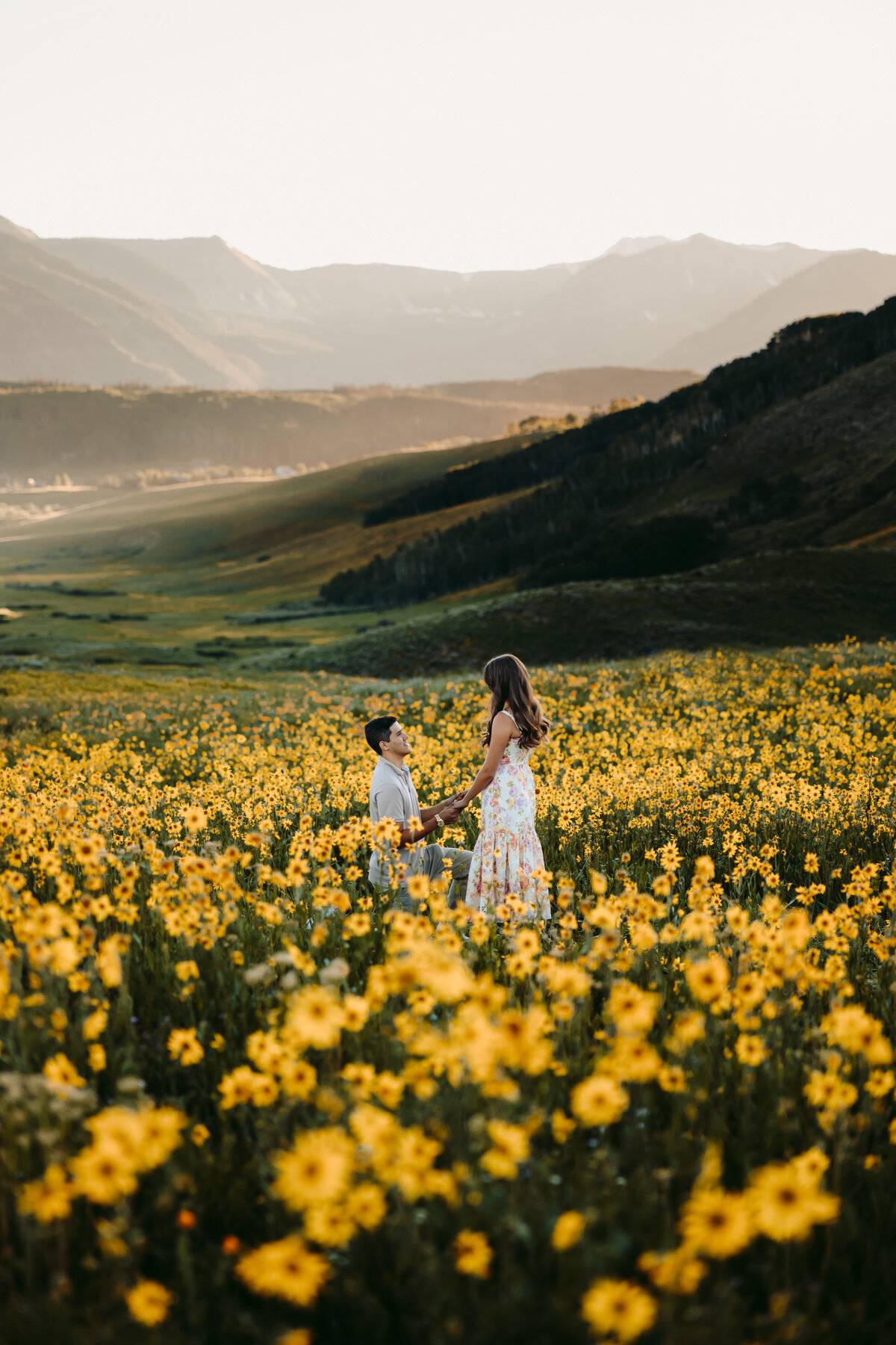 Surprise proposal in a wildflower field in Crested Butte.