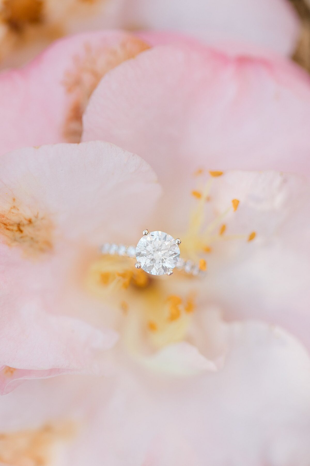 christa-rene-photography-53