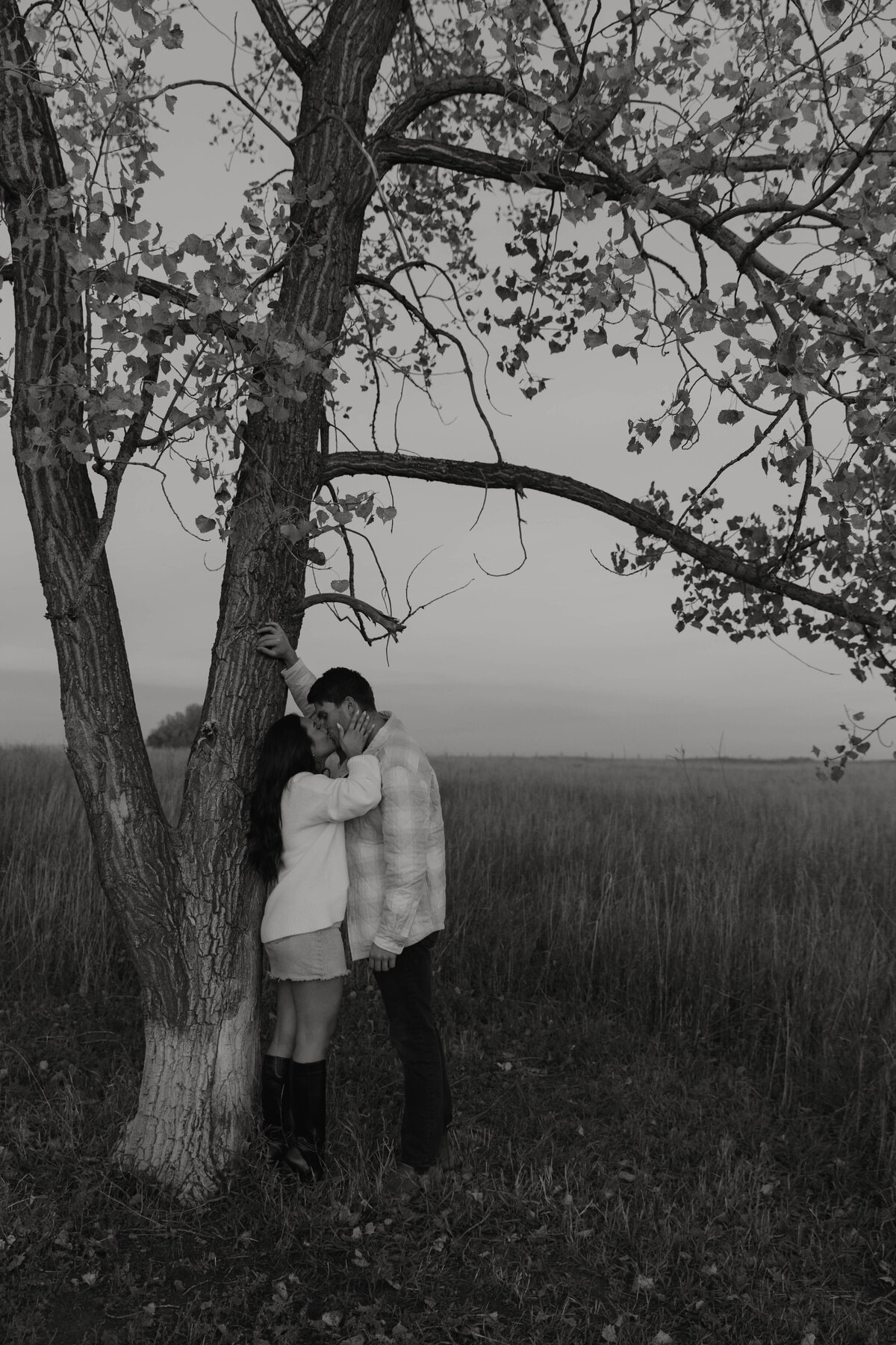 wildengagement-68
