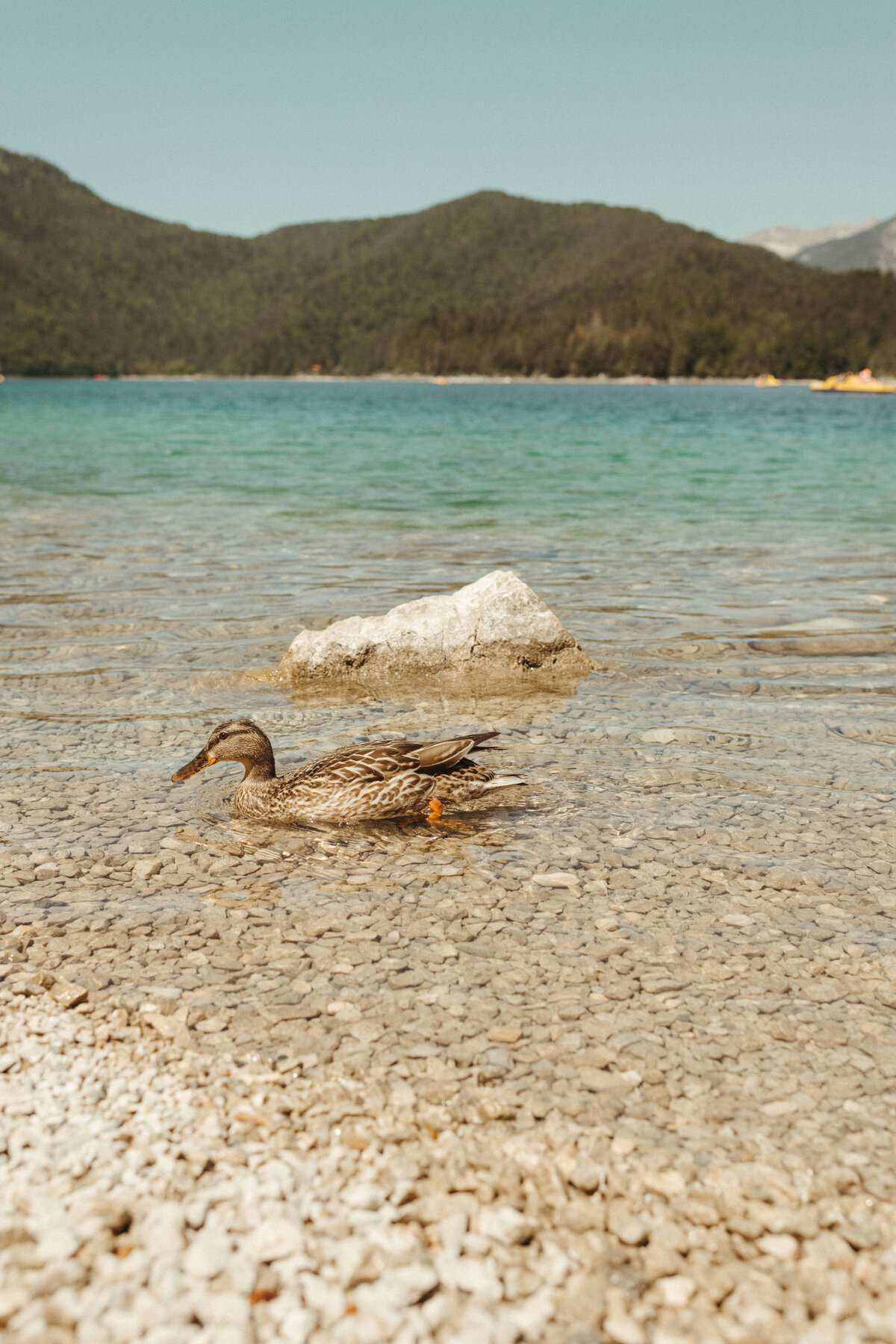Eibsee_Family1