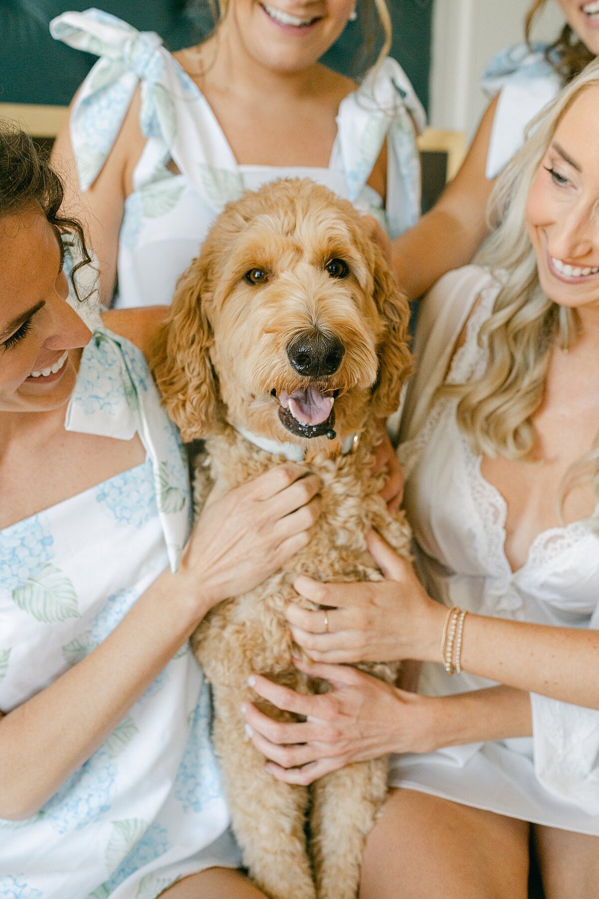 Hotel Carmichael Wedding Alison Mae Photography_1826