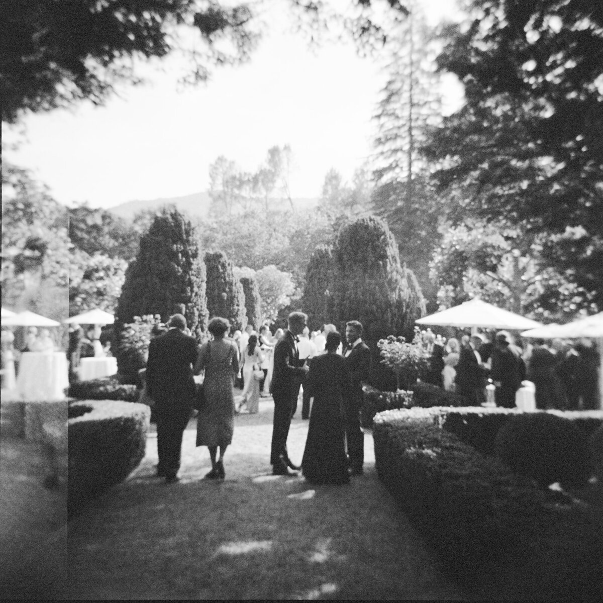 Alex-Patrick-wedding-guests-85_websize