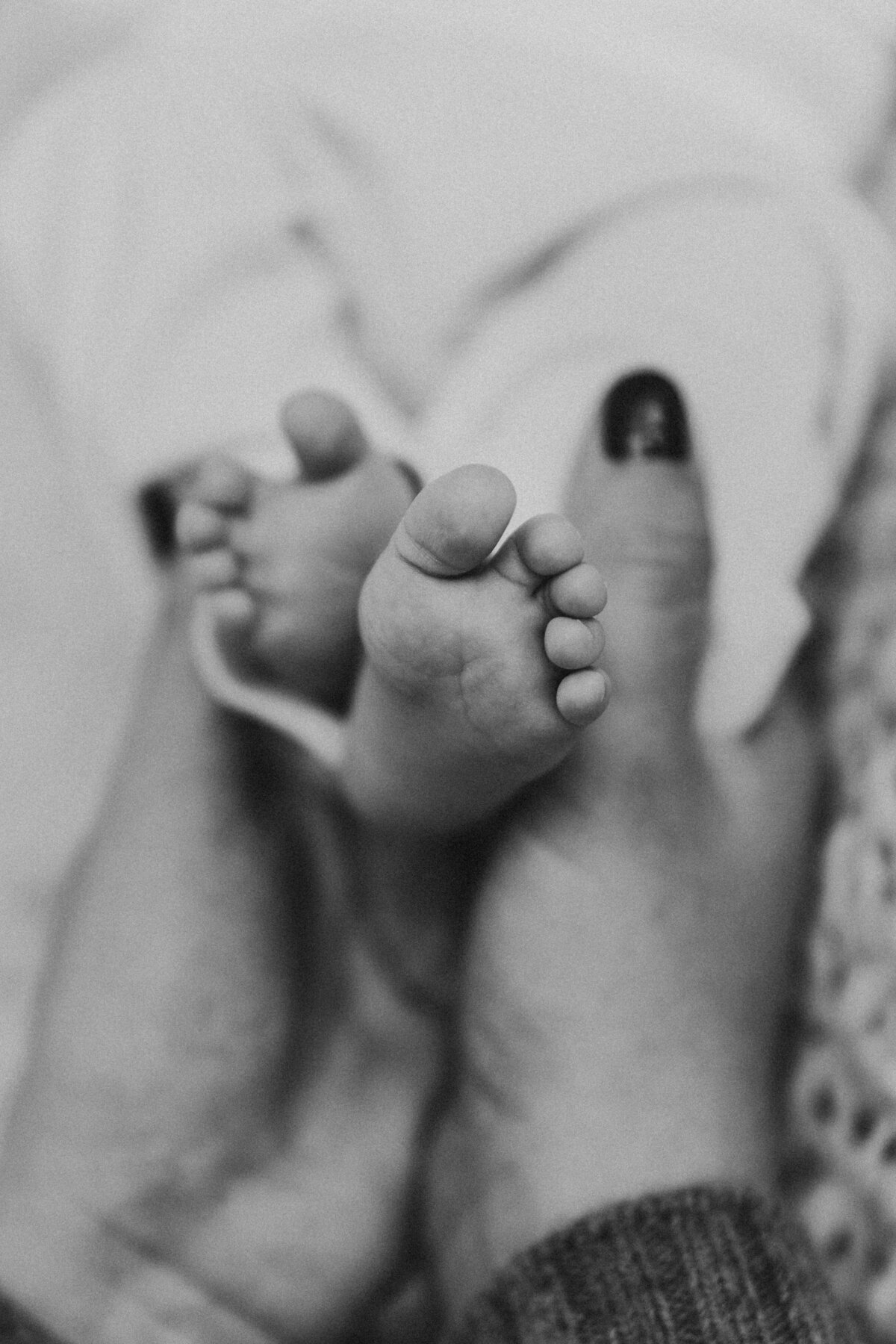 CactusandPinesPhotography_DenverColoradoFamilyPhotographer_DyeTimelessNewbornSession-68
