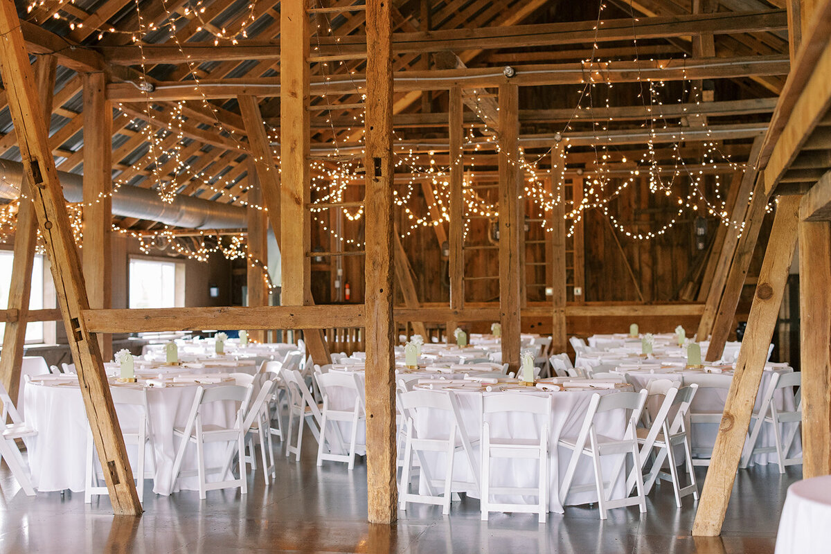 Wind in the Willows Wedding JT-7868