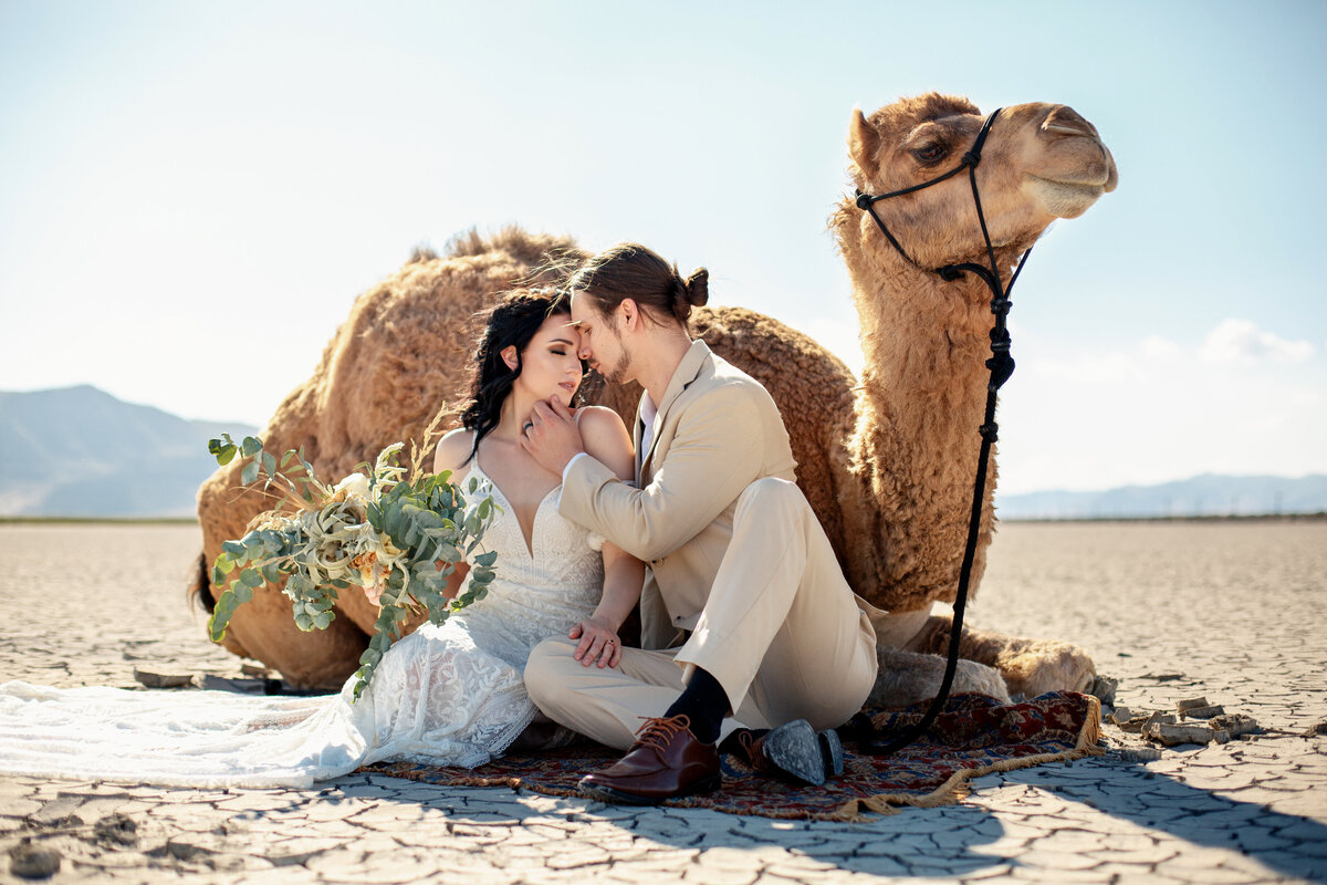 couple sitting in desert during adventure elopement with camel