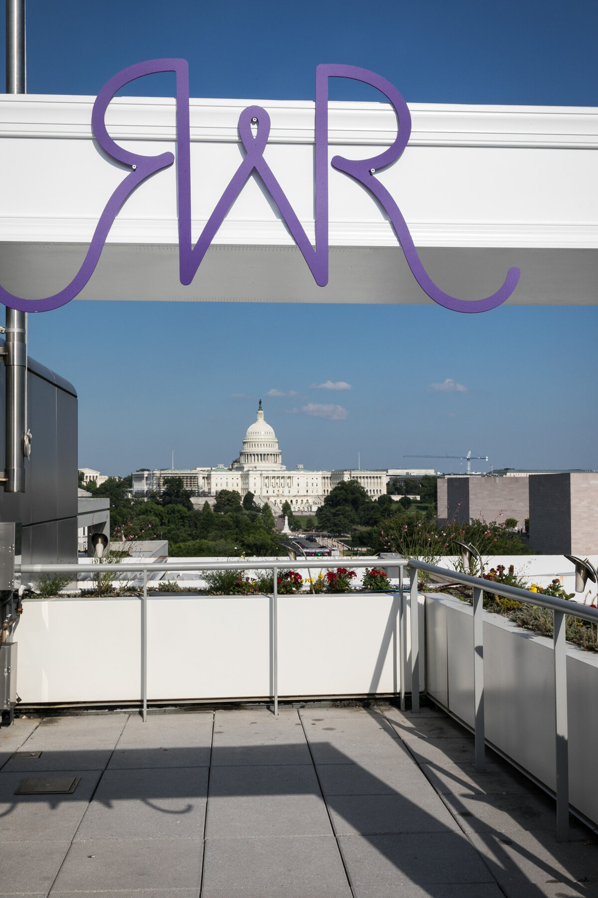 MagnoliaBluebird_Newseum_ImageLink_BatMitzvah_CustomPurpleAquaPreppyPattern17