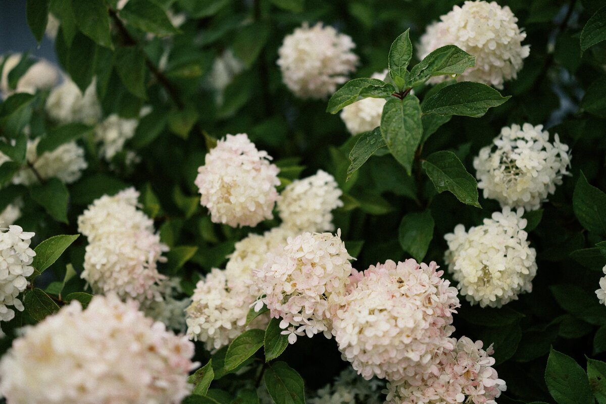 destination_wedding_photographer8