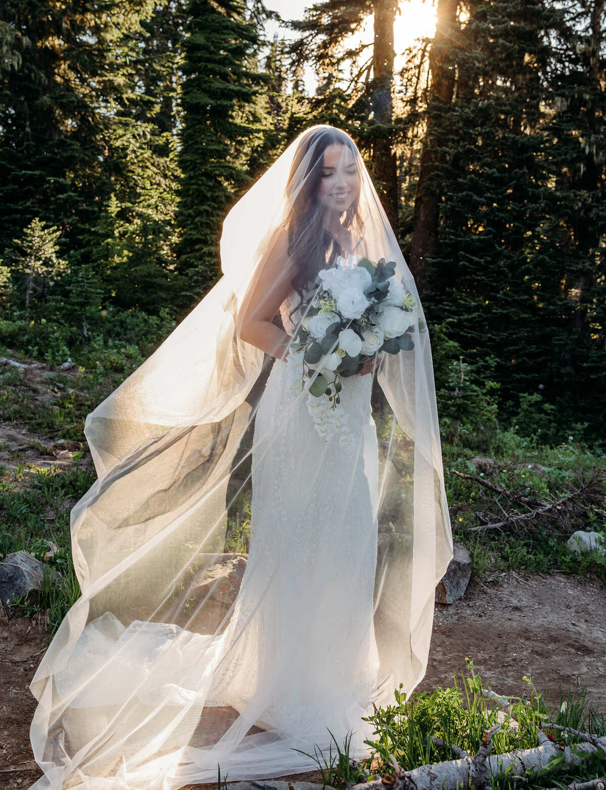 Mount Rainier, Washington Elopement--3