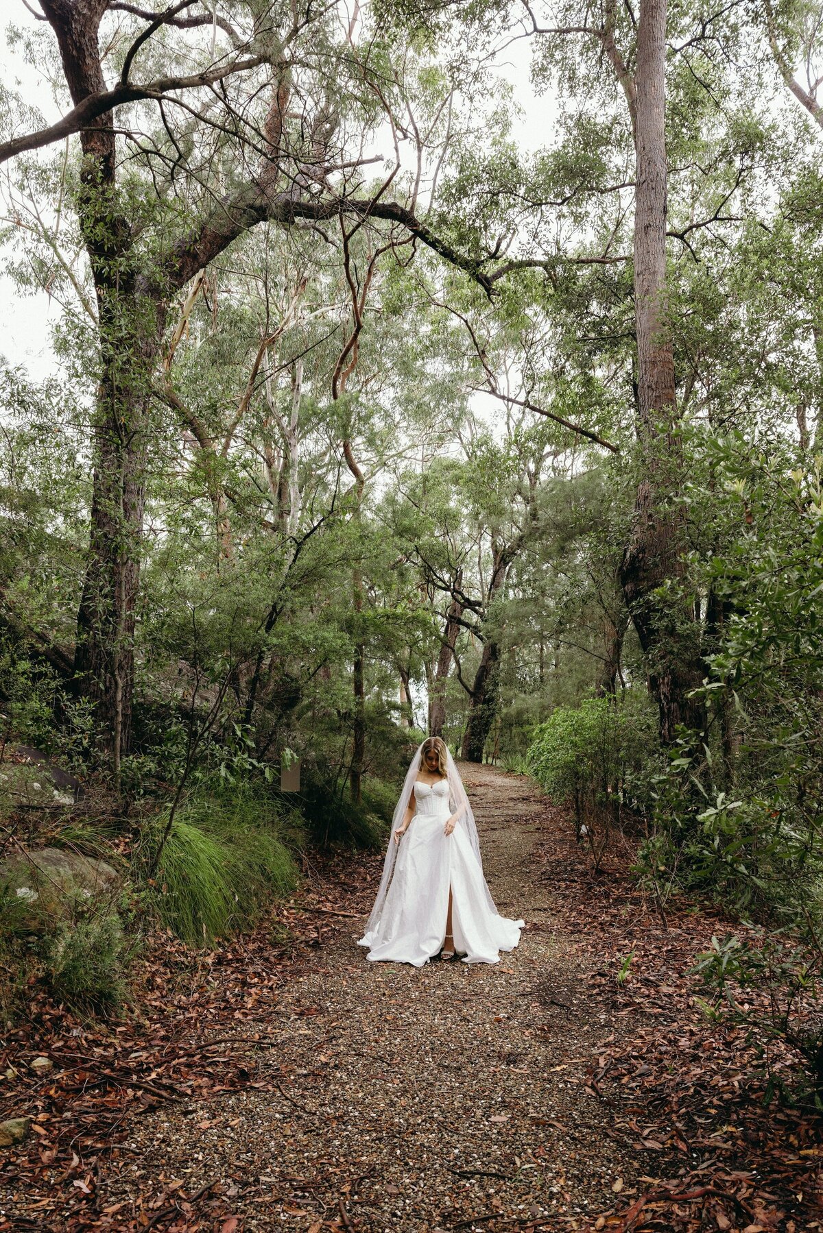 Crystal-Jack-Blue-Mountains-Elopement-406