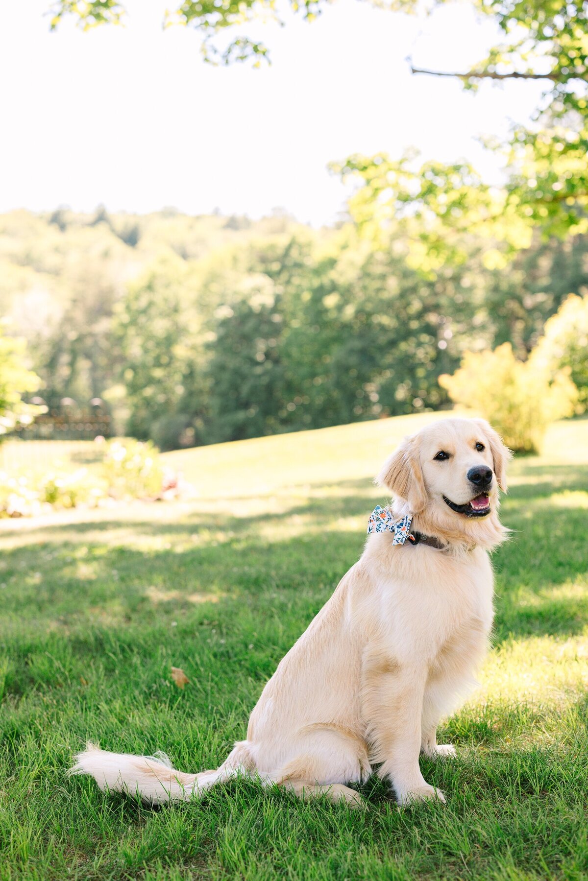 Wildflower_Inspired_Sunny_Colorful_Wedding_Photography_Preserve_at_Chocorua_New_Hampshire_0060