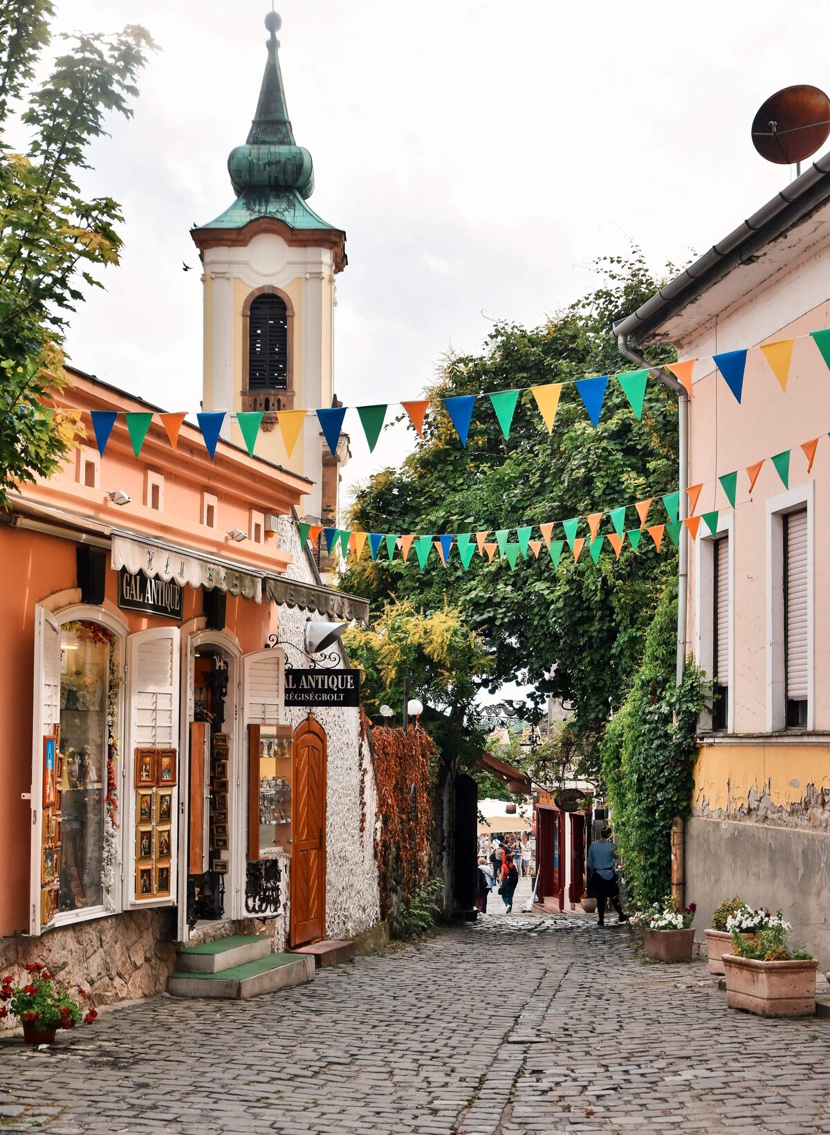 pexels-timi-keszthelyi-2543246