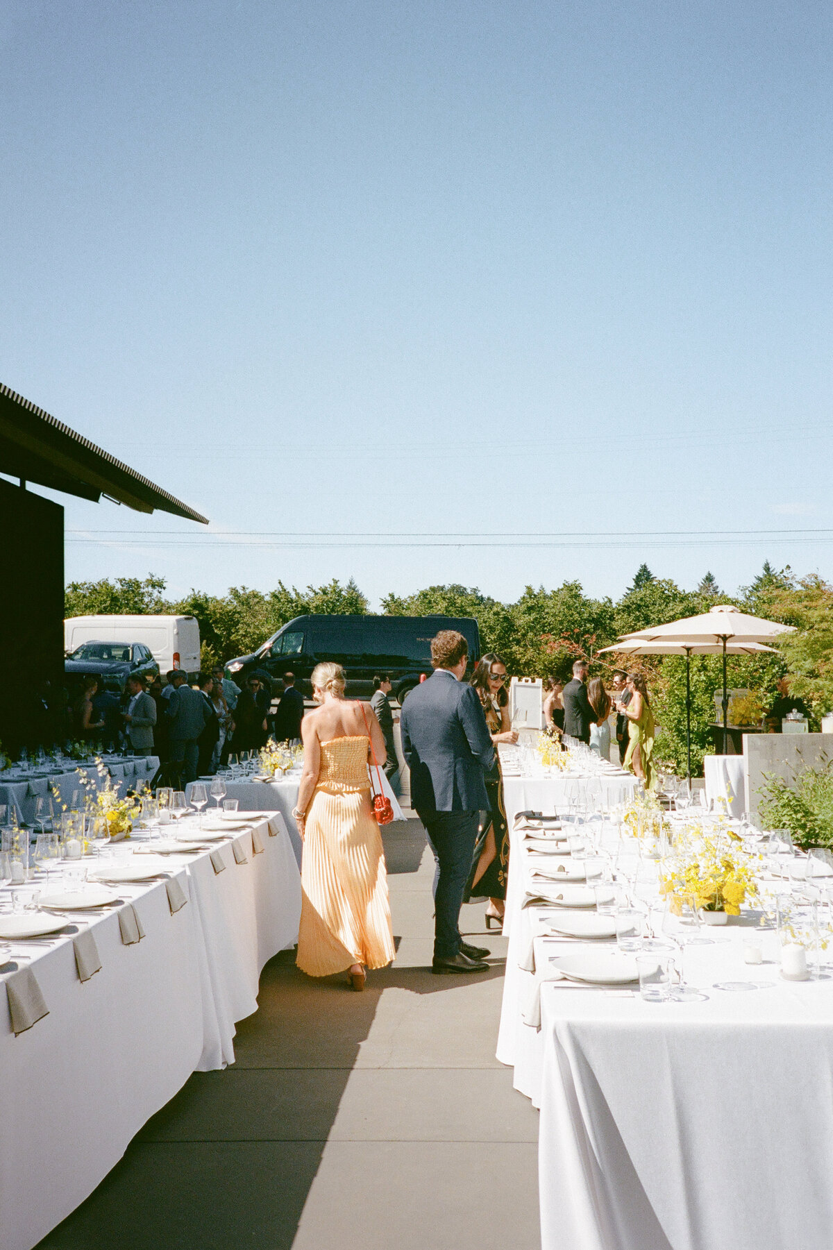 furioso-vineyard-wedding-f-228