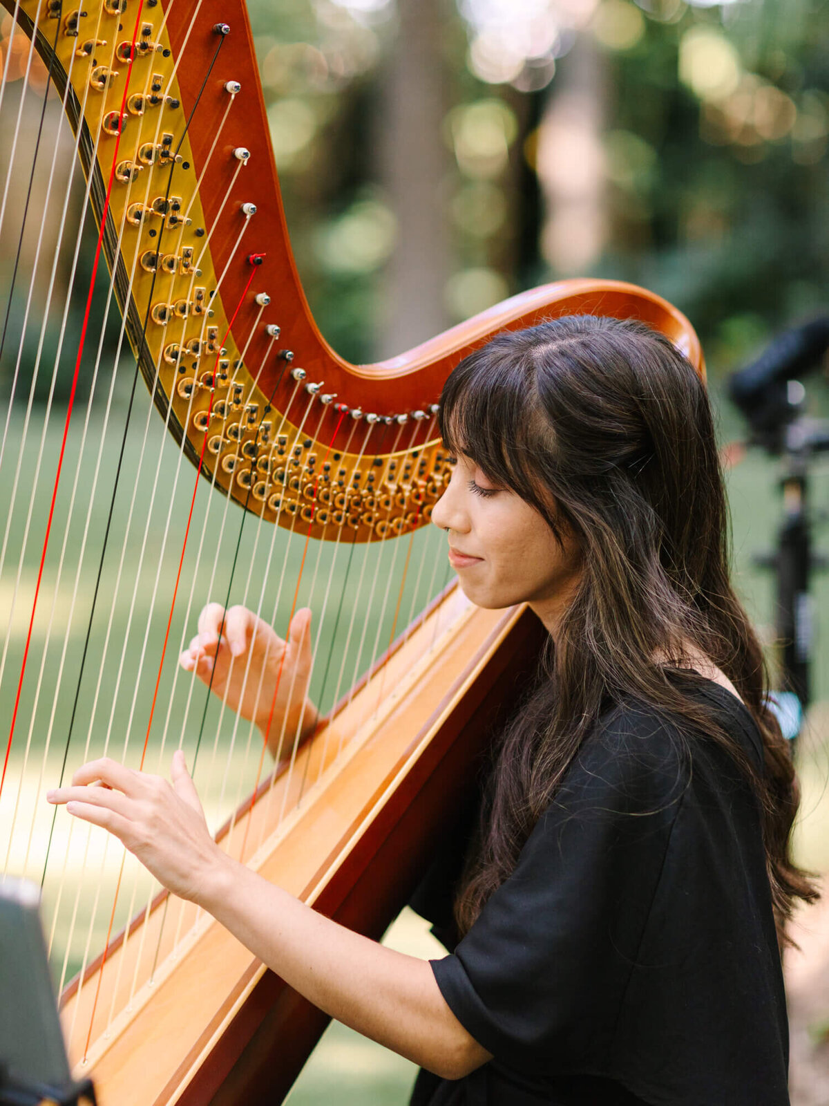 A woman plays a harp outdoors, focusing intently. The harp's strings and wooden frame are prominent.