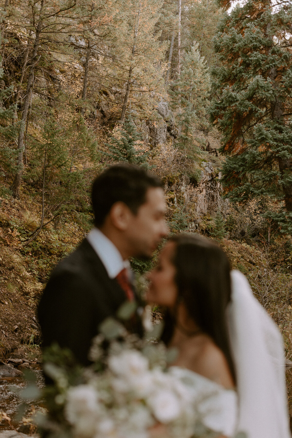 AhnaMariaPhotography_Wedding_Colorado_Daphne&Cy-97