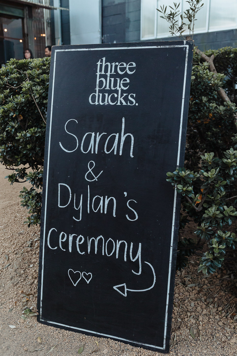 Three Blue Ducks, sydney wedding Film photography-49