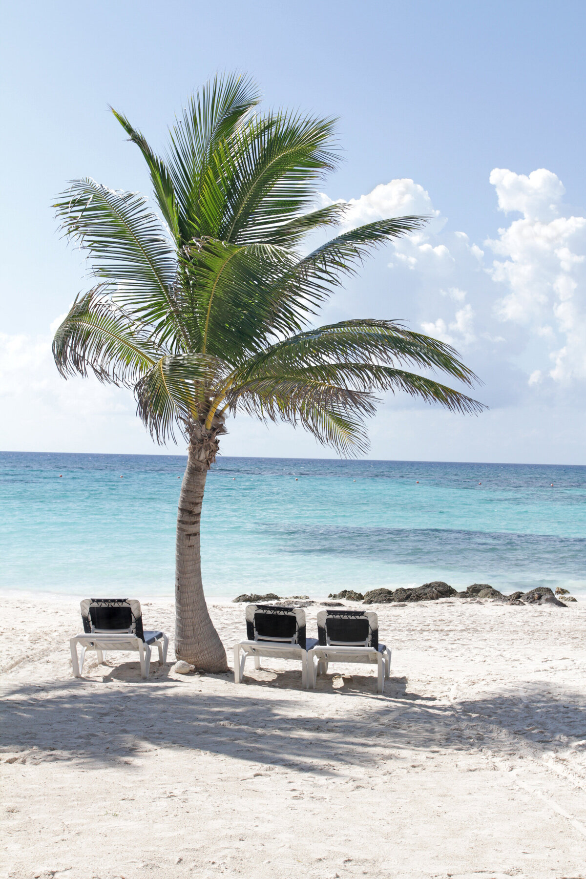 A sandy beach with a single palm tree and three empty lounge chairs invites relaxation, facing a clear turquoise ocean under a bright blue sky with scattered clouds. Perfect for those seeking luxury vacations, rocks add charm near the water's edge.