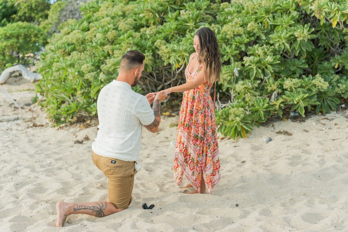 Surprise proposal on the Big Island shoreline