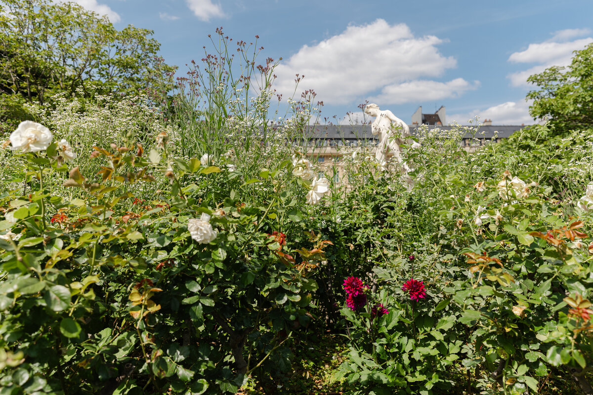 Paris Photography-Paris Photographer-Paris Engagement and Wedding Photographer-Homeschool Family-Worldschool Family-Jardin du Palais Royal