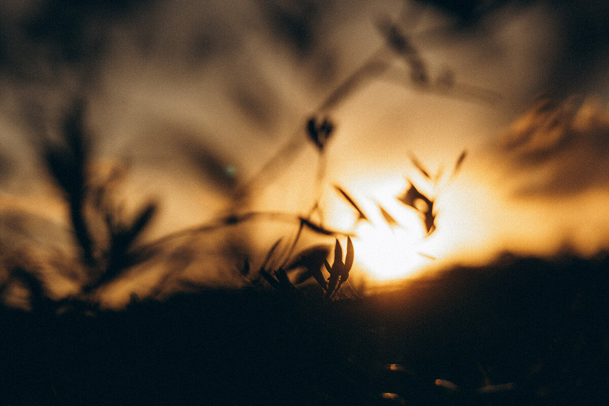 Creative landscape photography captured whilst on set for a AirBNB brand photoshoot by a sunshine coast photographer