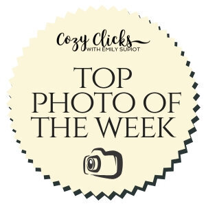 Cozy+Clicks+Top+Photo+of+The+Week+Badge+(1)