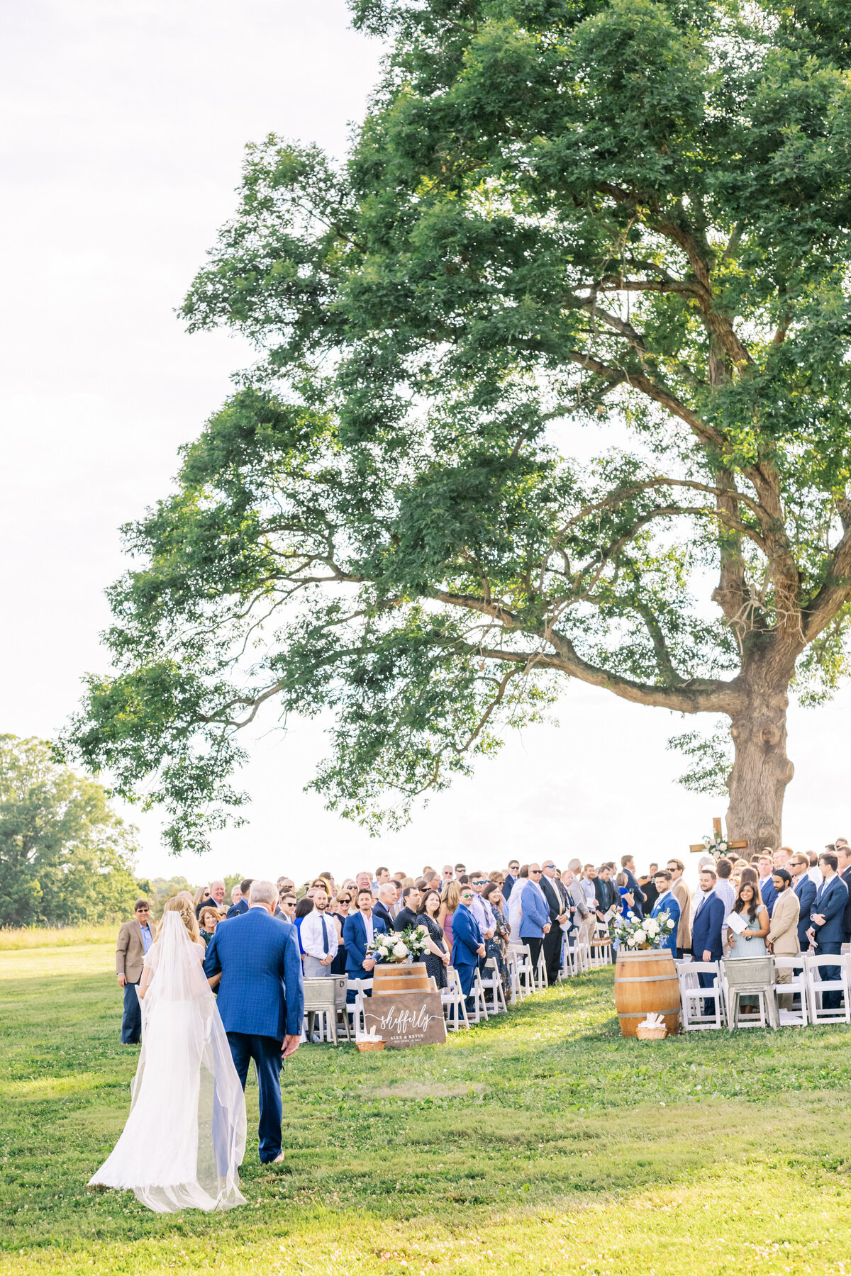 A bride and her father walk down the aisle toward a wedding ceremony set under the shade of a grand tree at summerfield farms