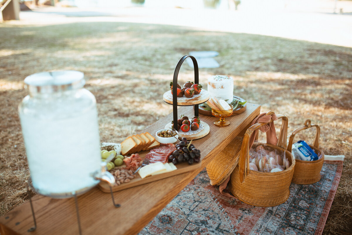 picnics by rae-7145