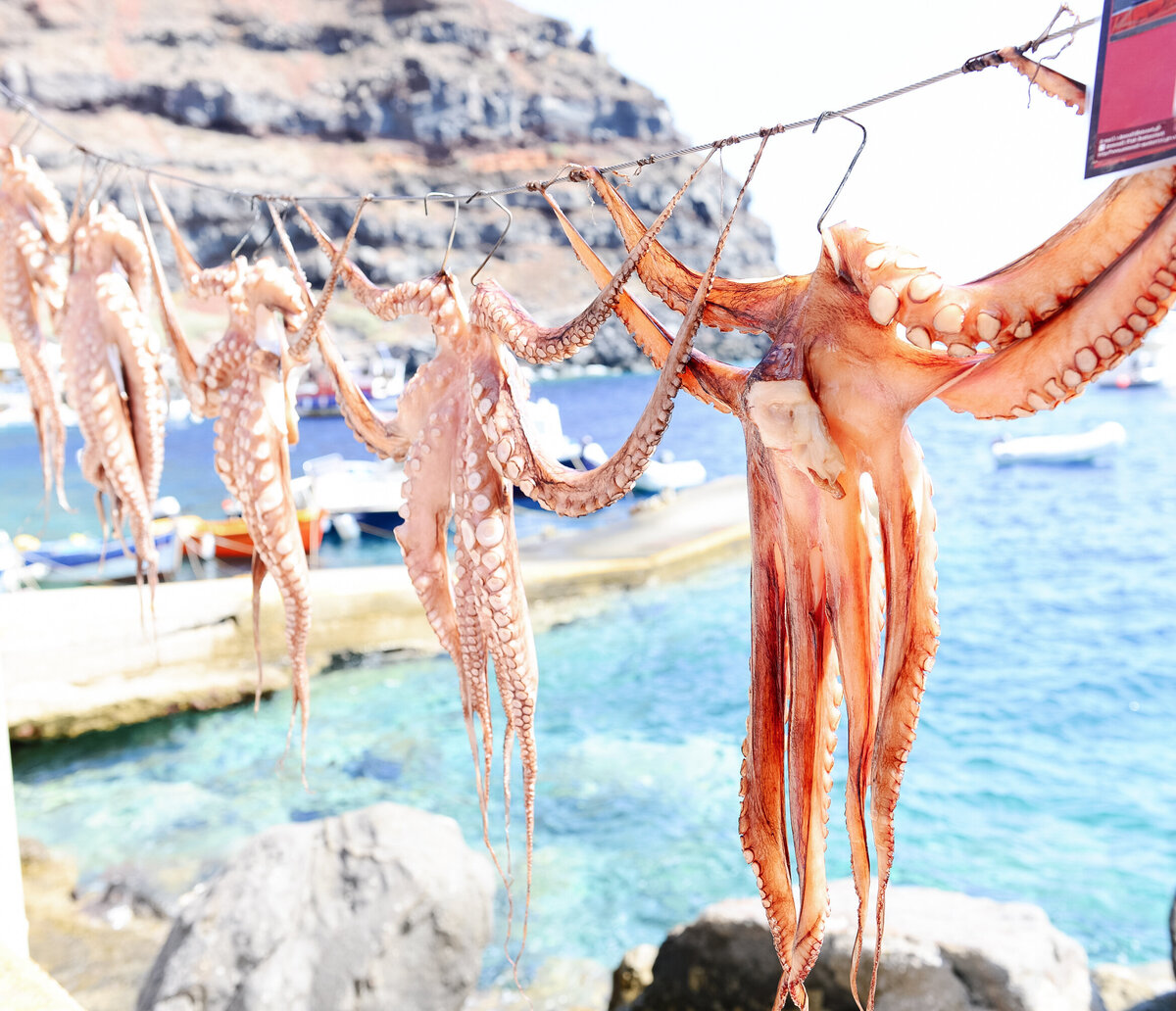 santorini-travel-re-edit-20