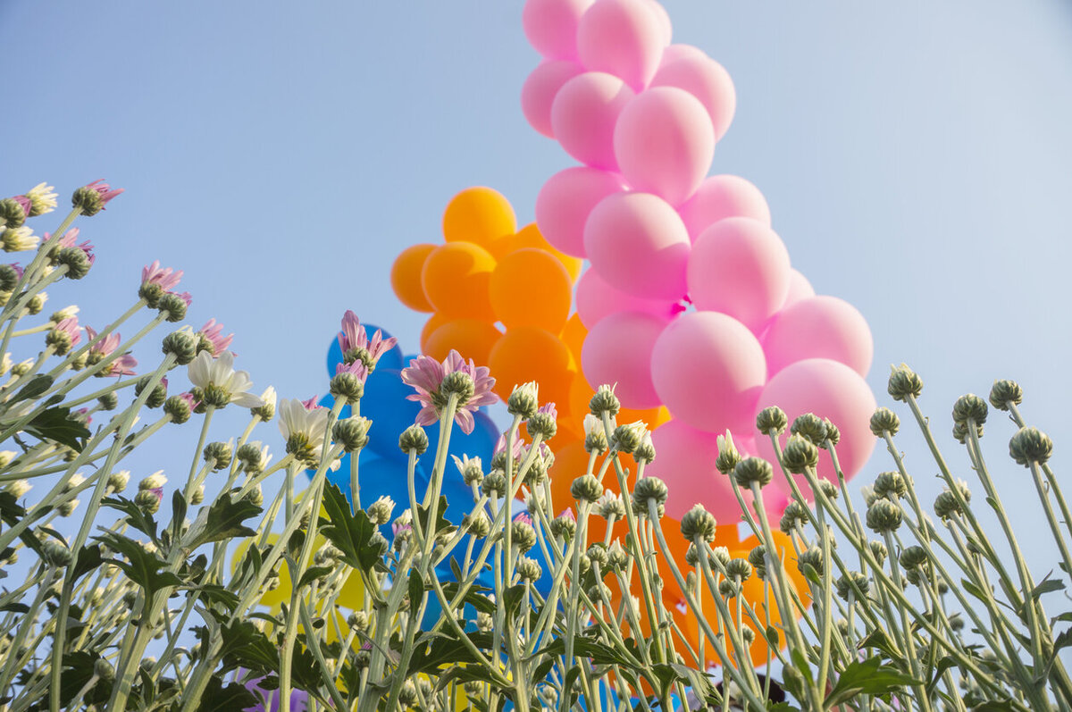 iStock-516609218