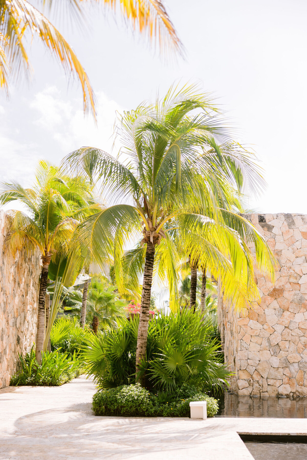 002-larissa-cleveland-mexico-etereo-auberge-wedding-cabo-