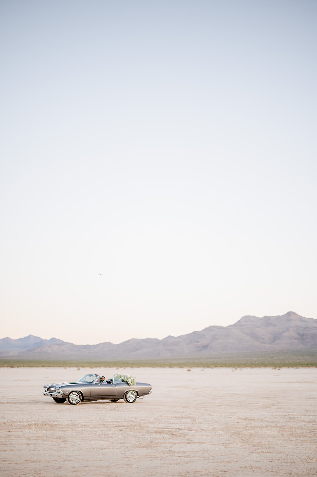 Crystal&GinoWedding-pharrisphotos.com311