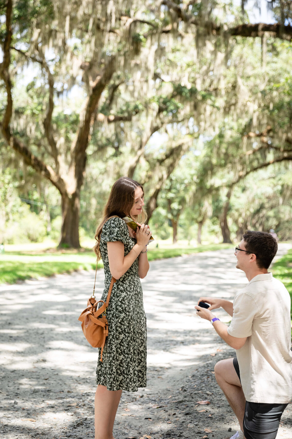 Surprise proposal at Wormsloe Historic Site, Savannah GA