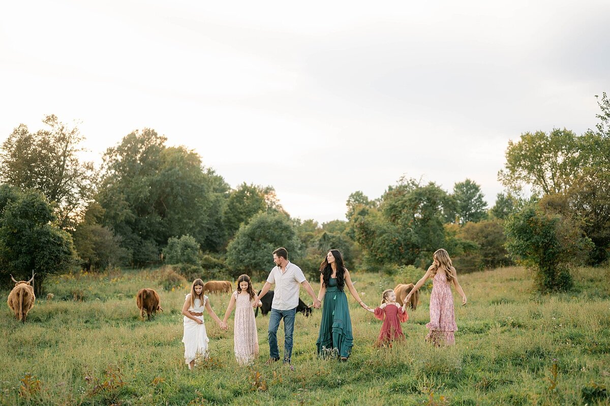 Fluffy cute Highland cow photo session in Central Ohio