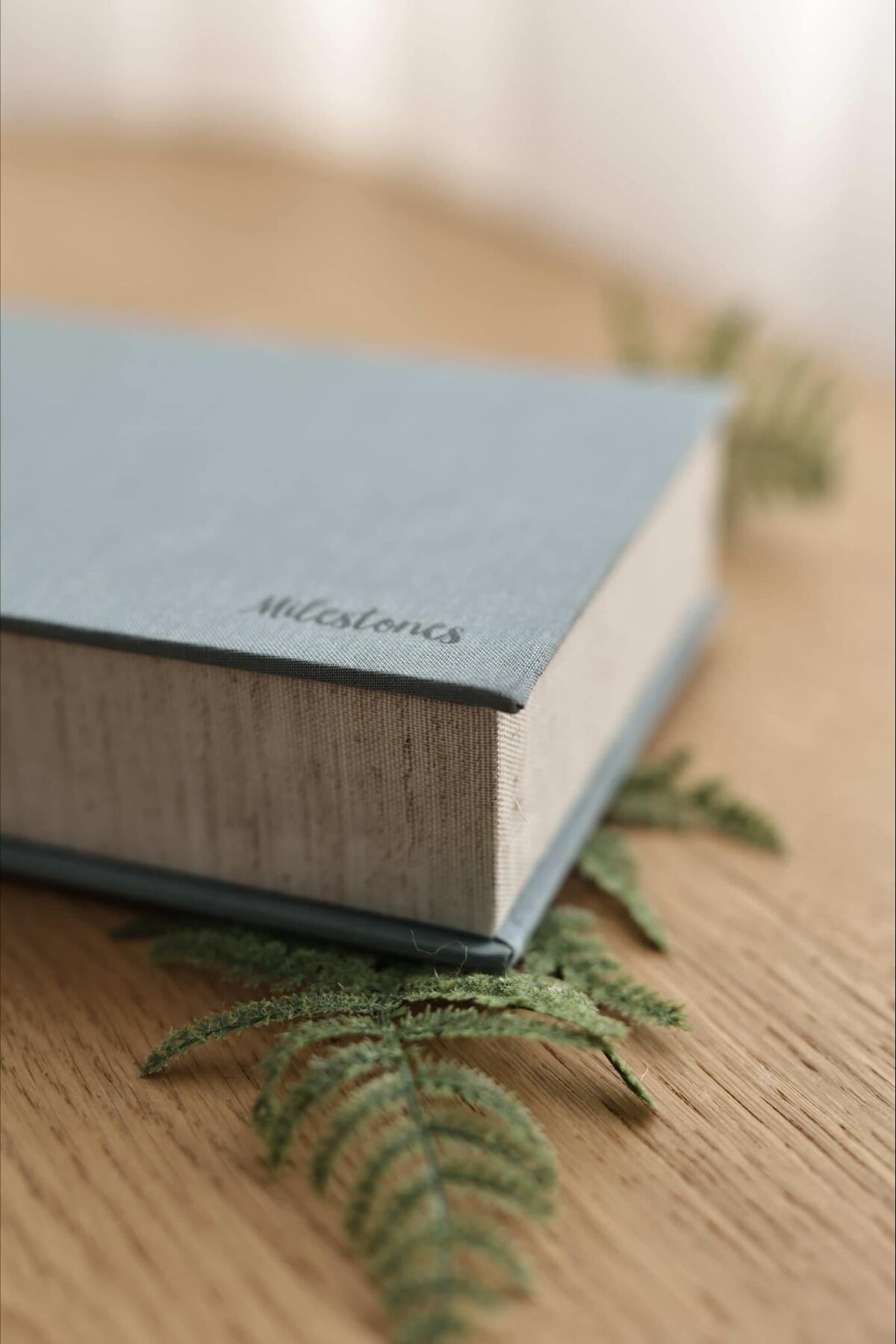 louisville newborn photographer art product investment photo album keepsake box