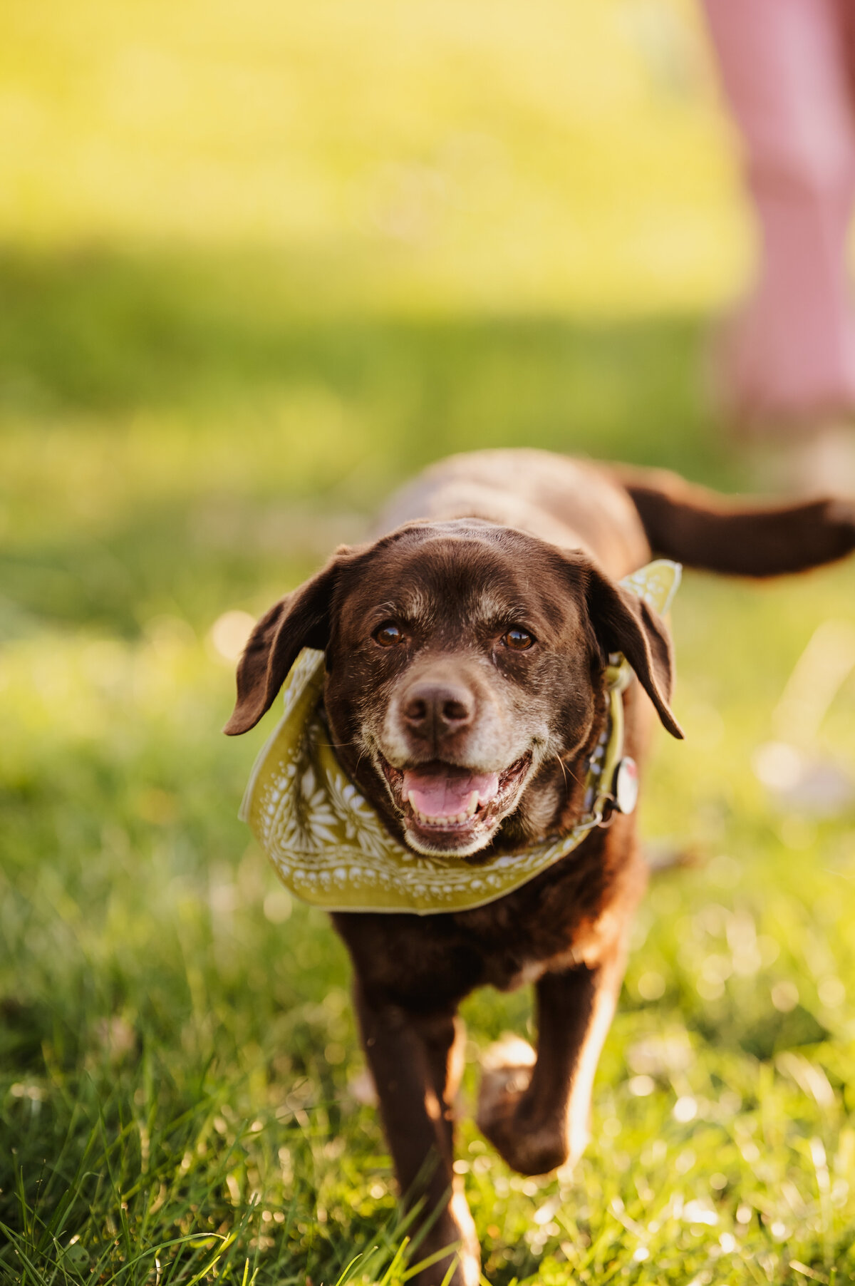 NicoleS_Fall2025_027