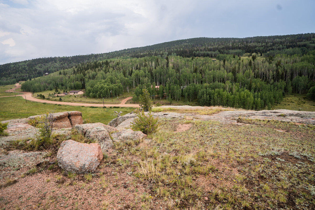 York - Teller County-25