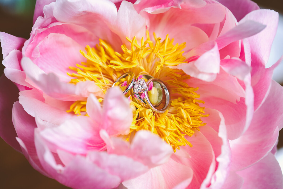 501-Union-wedding-HR-0041