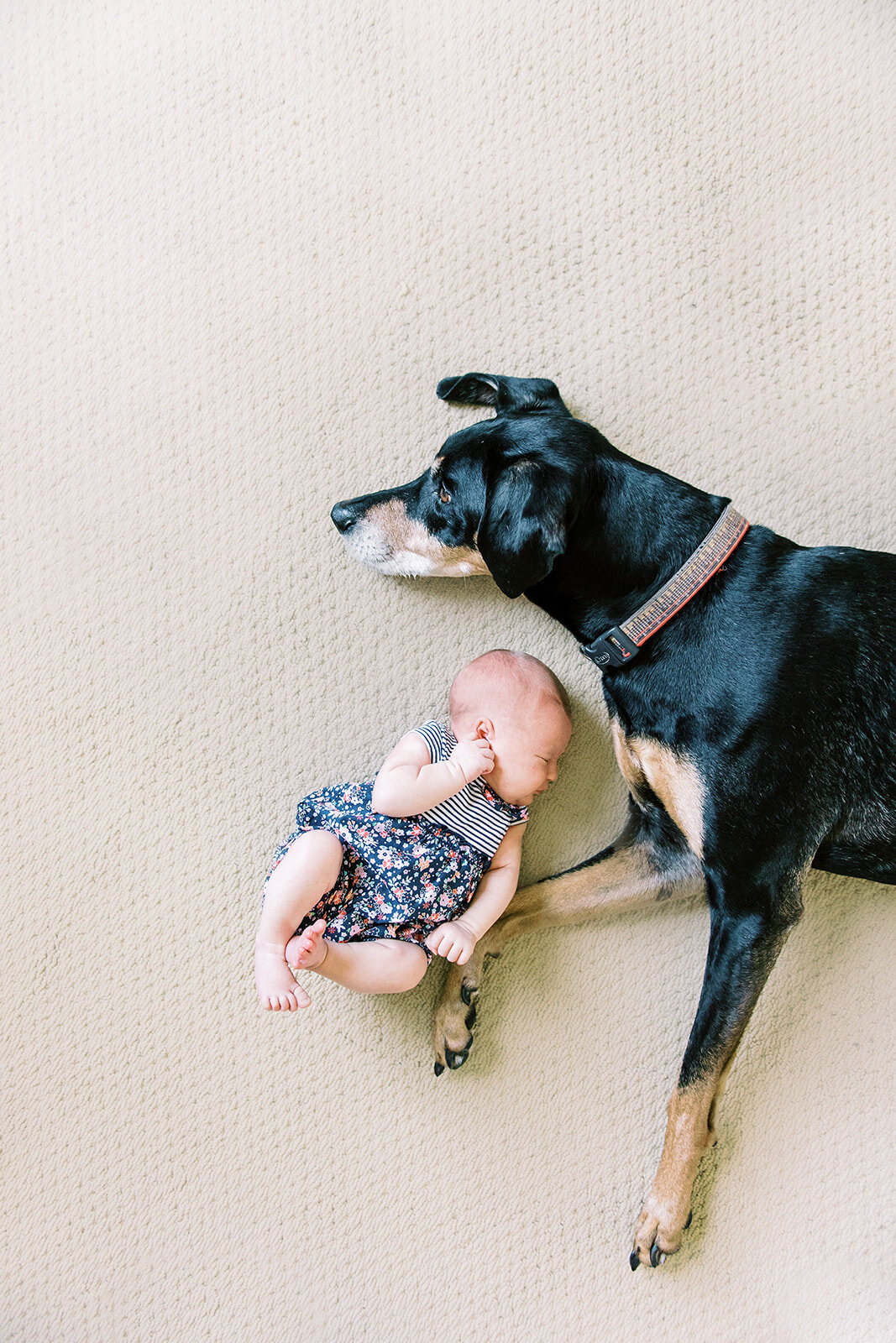 GriffisNewbornSession-KathrynIvyPhoto-202160