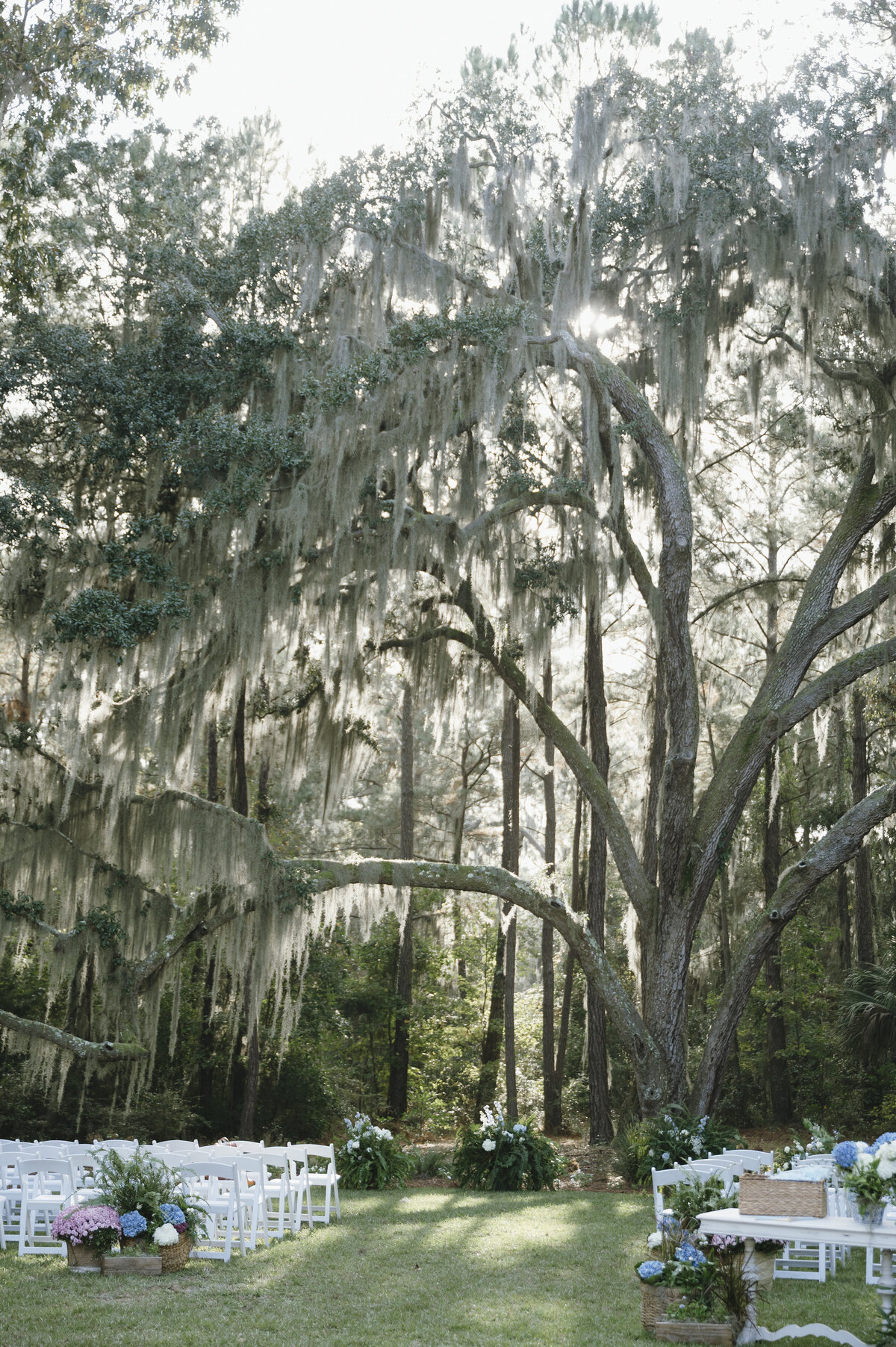 Savannah Georgia Wedding Photographer