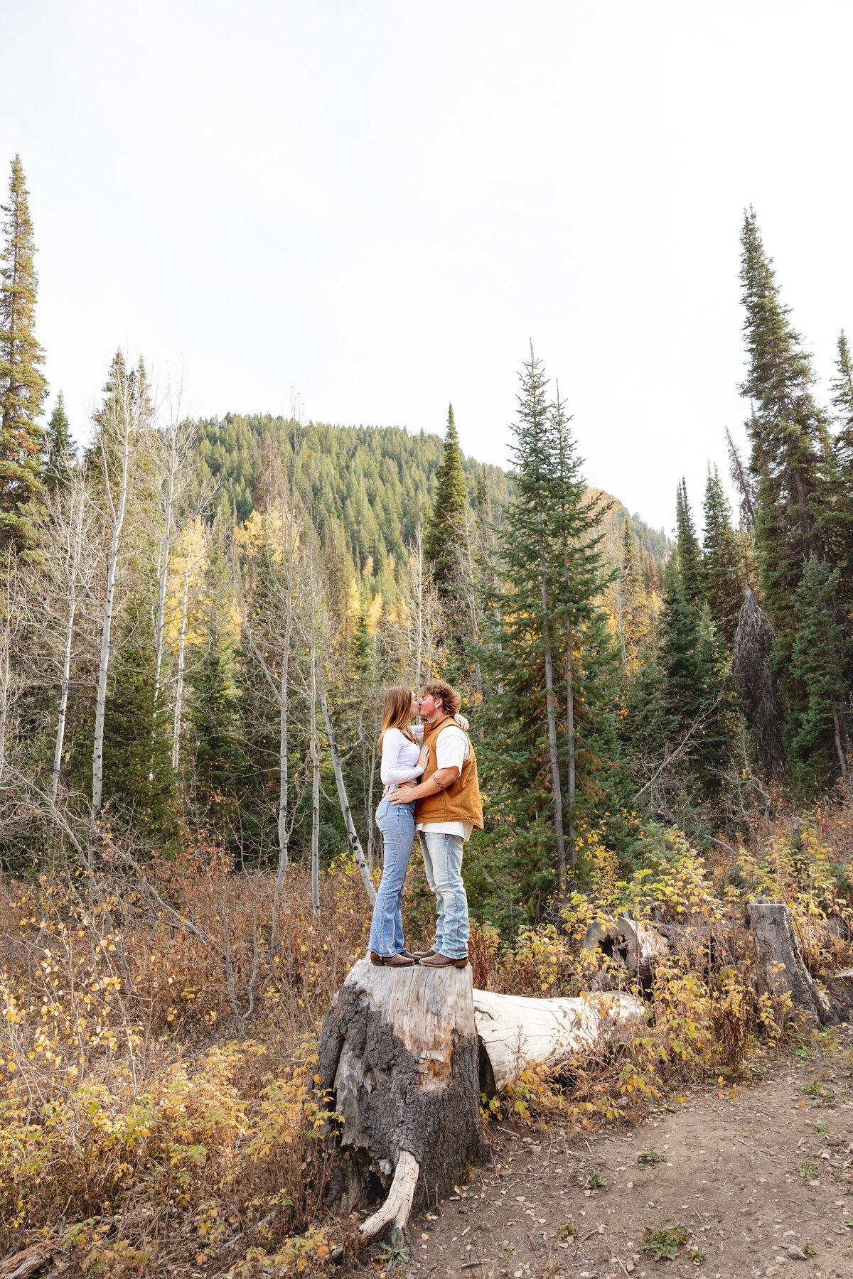 A couple stands on a tree stump surrounded by tall pines, holding each other and sharing a kiss in a romantic mountain forest setting.