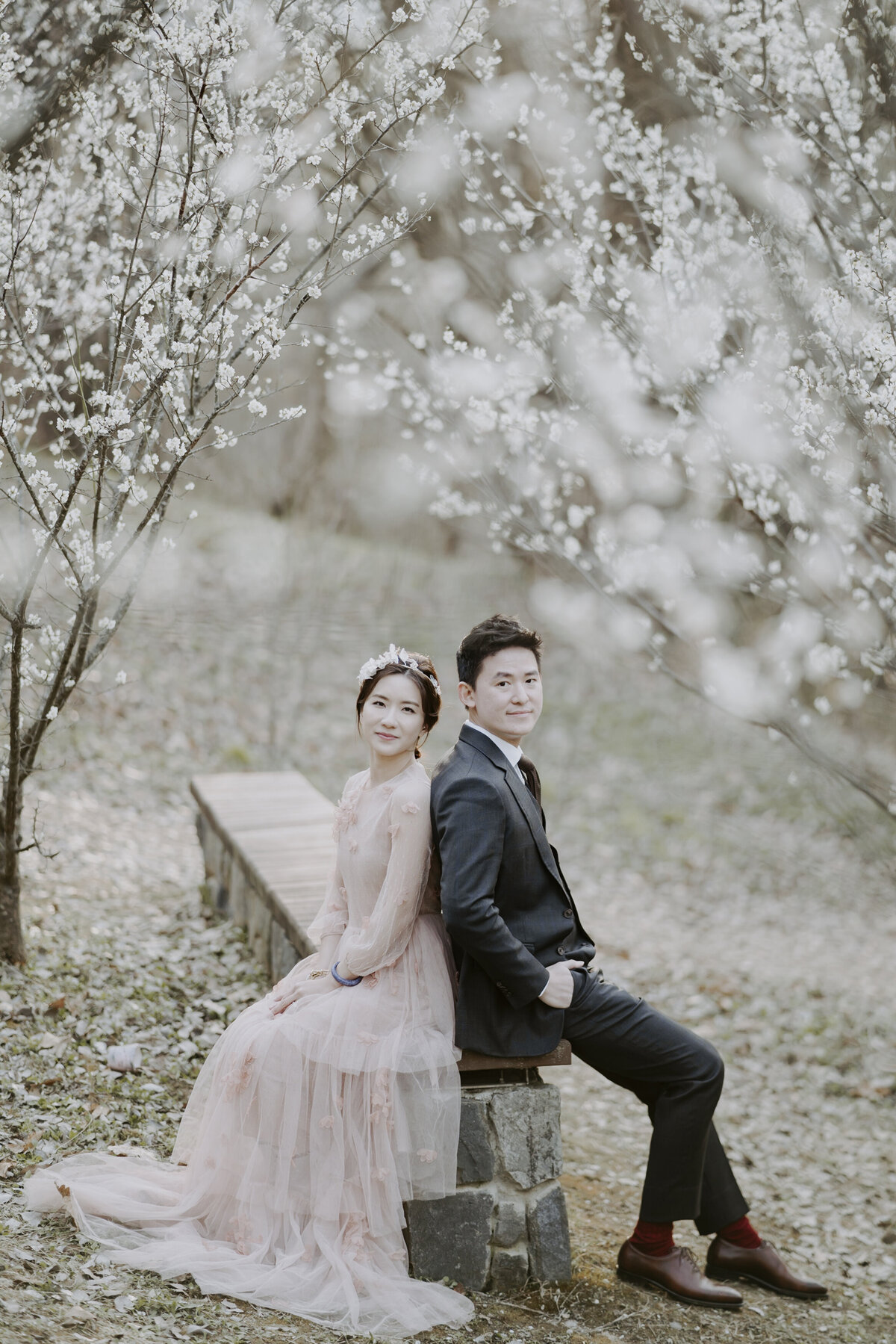 a bride wearing a pink dress and a groom wearing a navy blue suit sit under the cherry blossoms