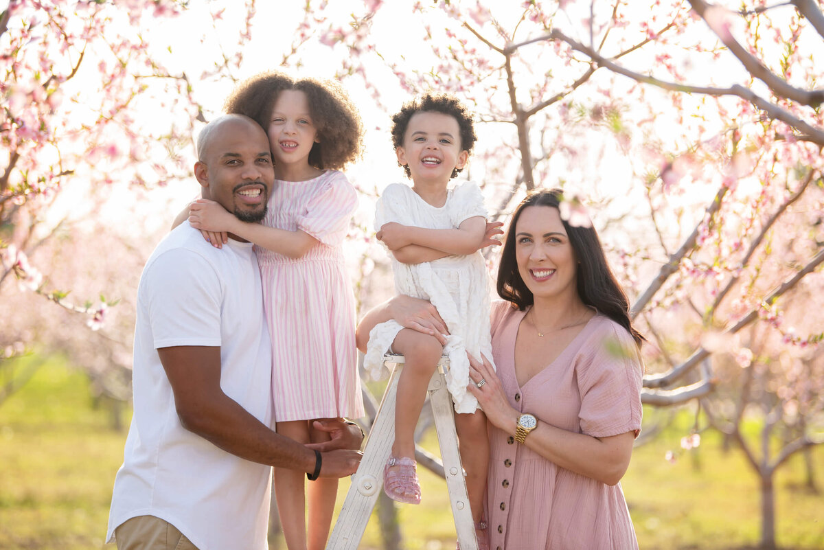 mom and dad holding their daughters in the pink cherry blossoms for their Burlington family photography session