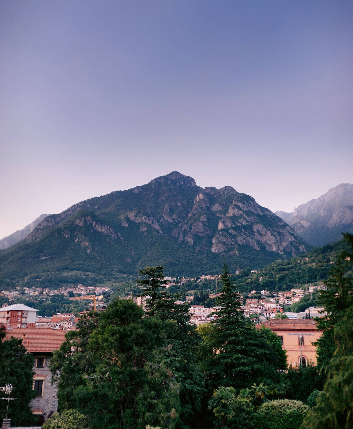 Trees with a large mountain in the background